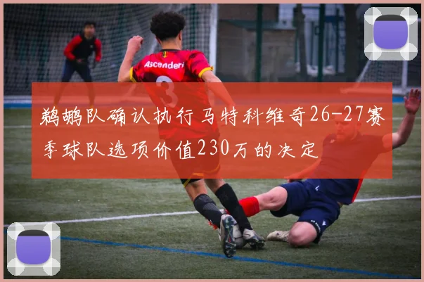 鹈鹕队确认执行马特科维奇26-27赛季球队选项价值230万的决定